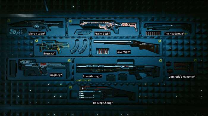 2077 weapons stash