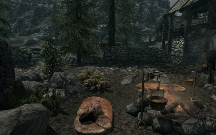 Skyrim where to sleep