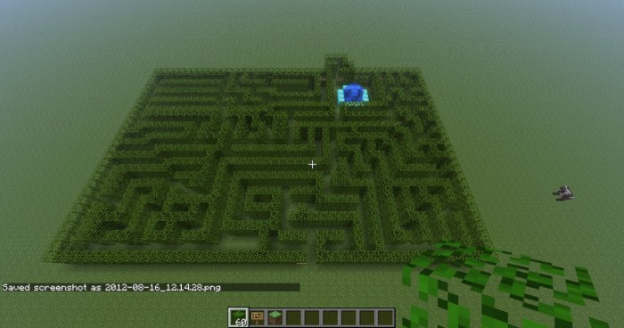 Minecraft maze map focus