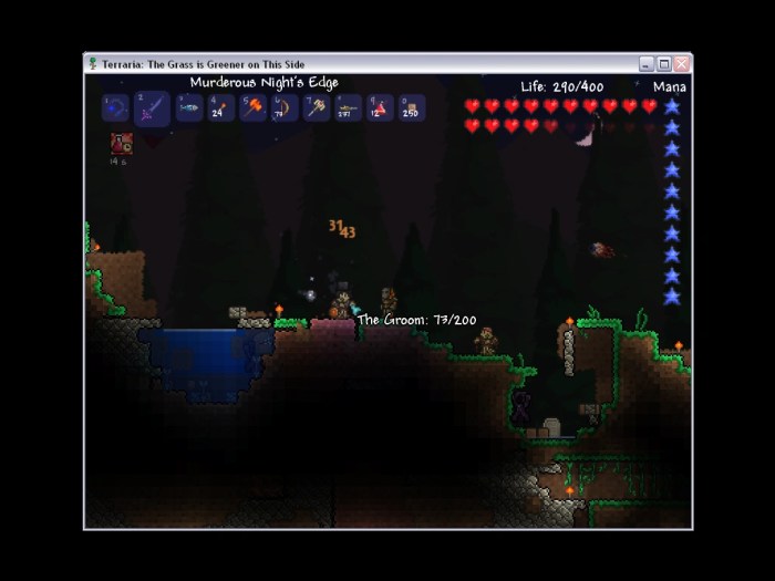 Terraria kill the groom