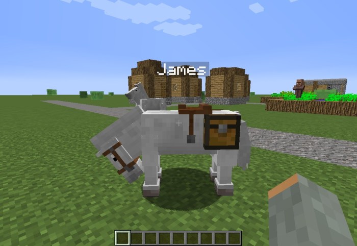 Minecraft chest on horse