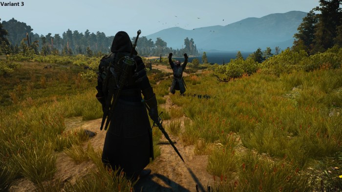 Armor assassin set mods witcher varieties weapon complete better