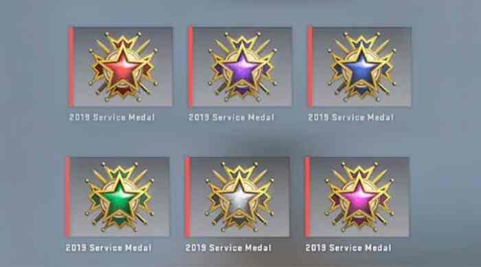 2015 service medal csgo