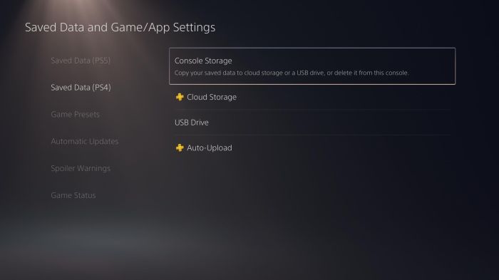How to backup save ps5