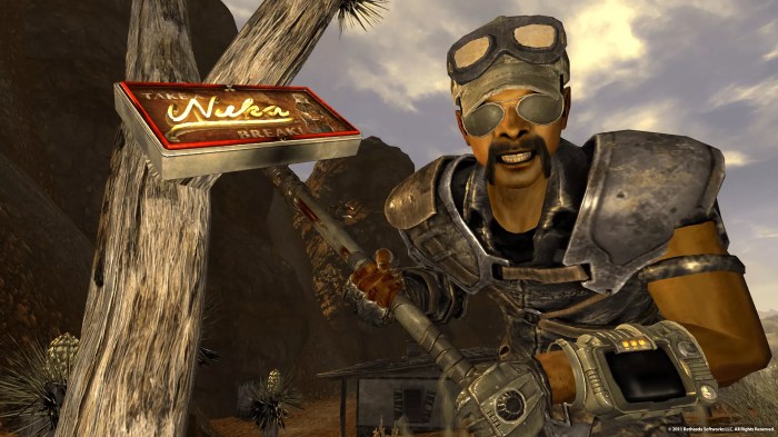 House fallout new vegas