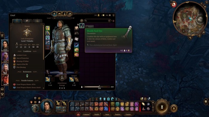 Baldur's gate 3 black dye