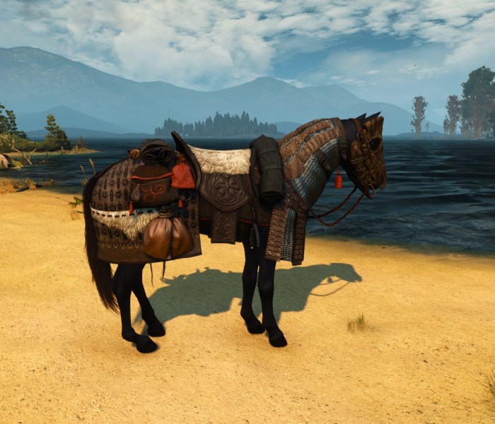 Horse gear witcher 3