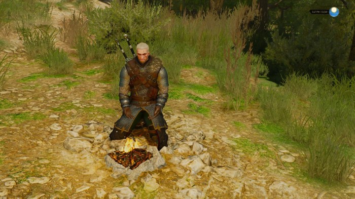 Meditation witcher guide healing battle during window gamepressure thewitcher3 guides