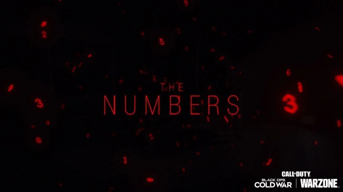 Cod black ops numbers