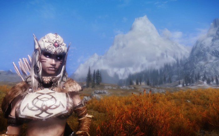 Skyrim elf armor elves