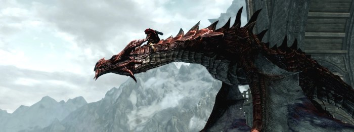 Dragon rider skyrim information