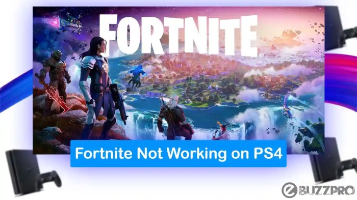 Fortnite not working ps4