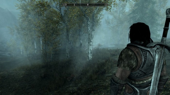 Mods not working skyrim