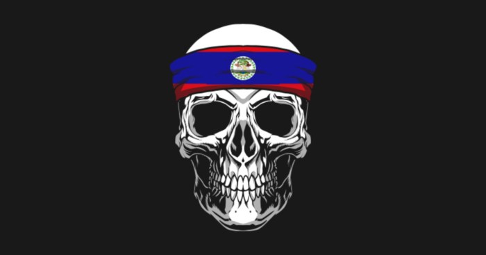Skull flag color stock illustration depositphotos