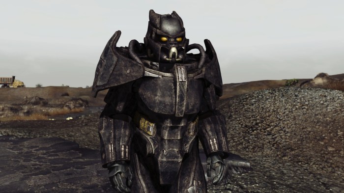 New vegas enclave armor