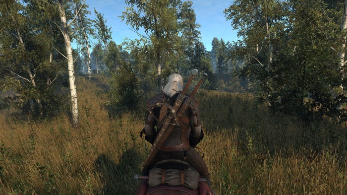 Witcher 3 xp farming