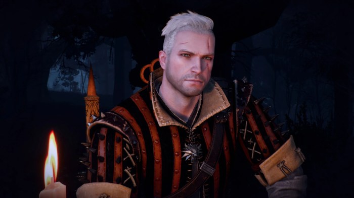 Witcher 3 all hairstyles