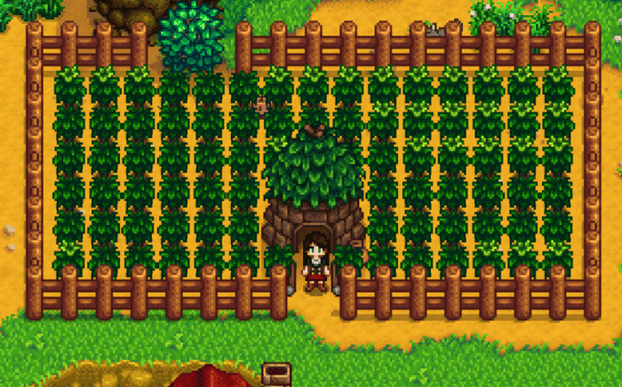 Tea tree stardew valley