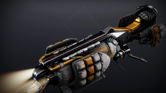 Destiny 2 unknown exotic