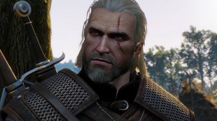 How to make a witcher