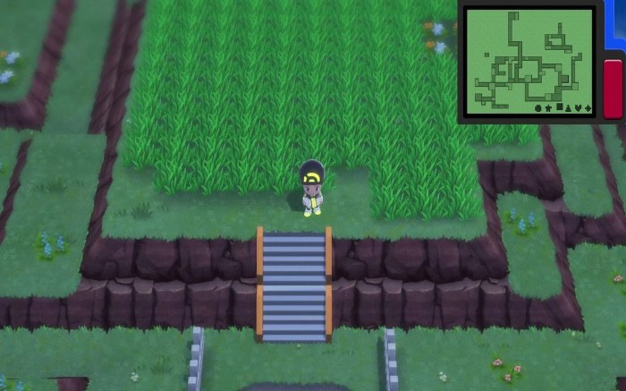 Pokemon in trophy garden