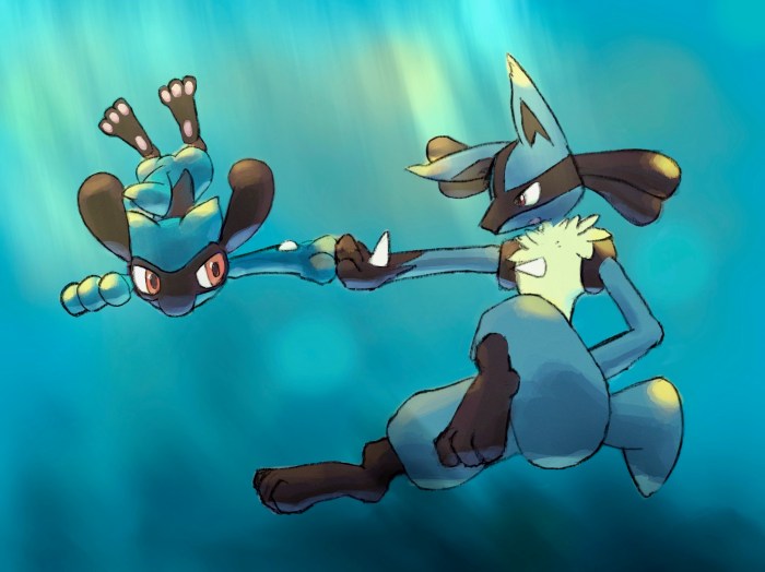 Pokemon x and y riolu