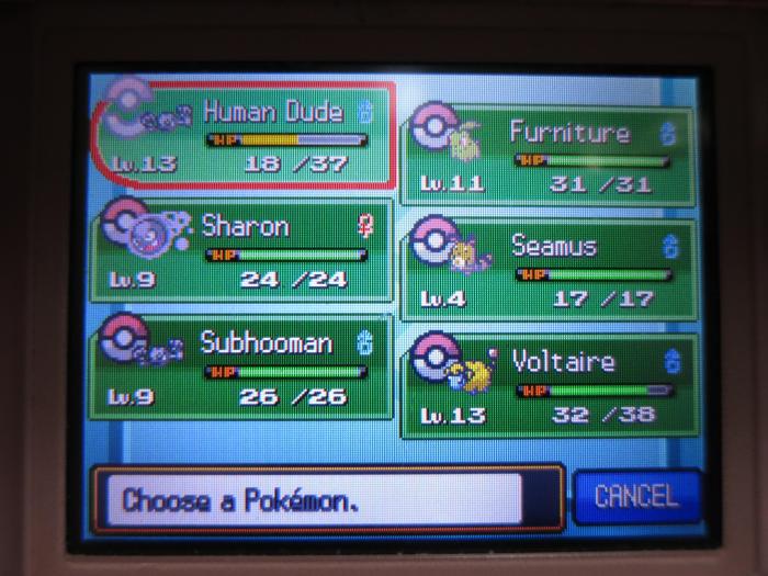 Best team for heartgold