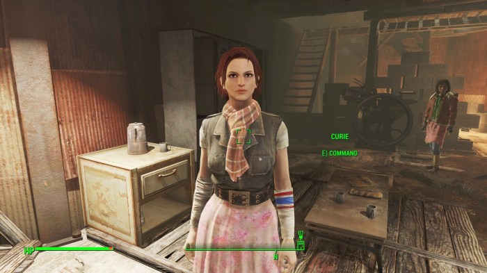 Fallout save file mods savegame completed