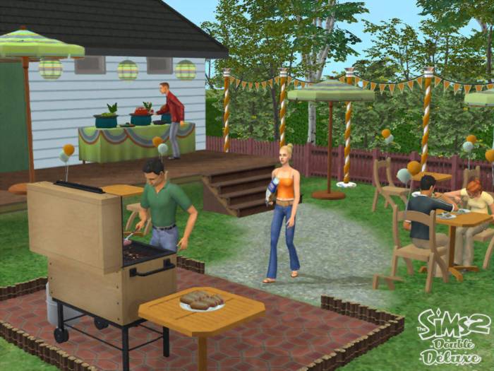 The sims 2 double deluxe