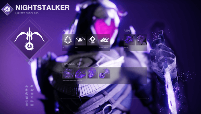 Void hunter destiny 2