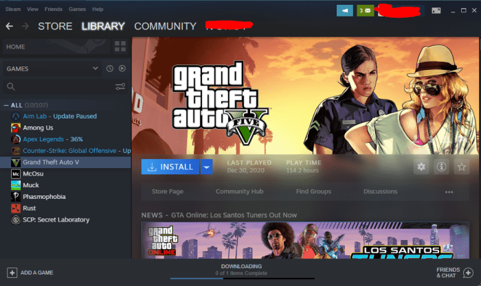 Steam account with gta 5