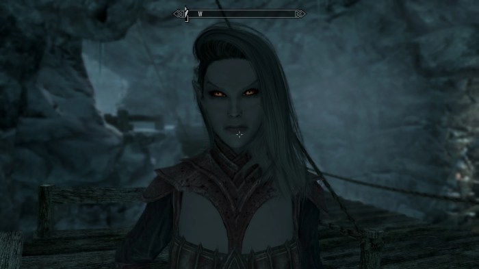 Skyrim dark elf vampire