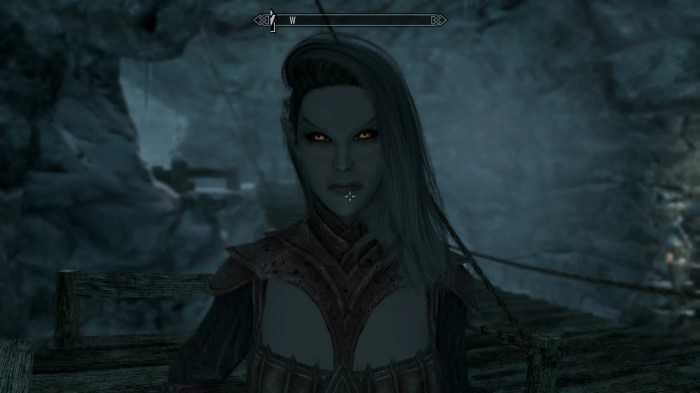 Dark elf vampire skyrim