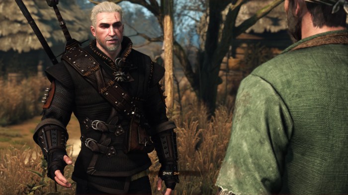 Witcher 3 corvo bianco