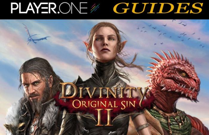 Skill books divinity 2