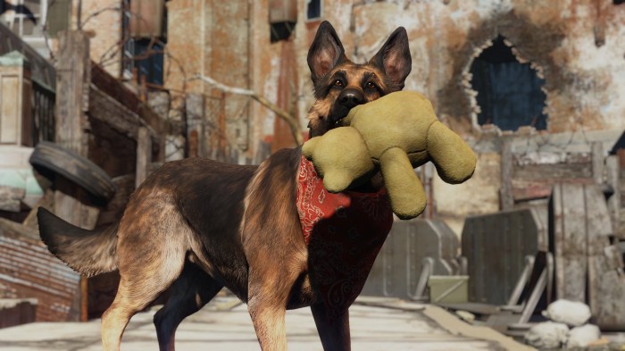 Teddy the dog fallout 4