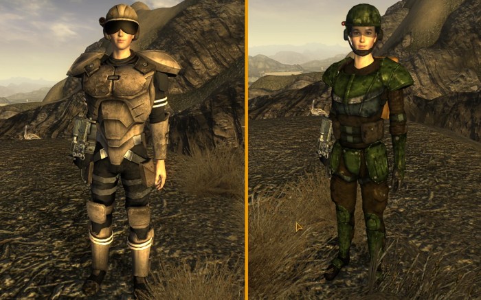 Fallout nv combat armor