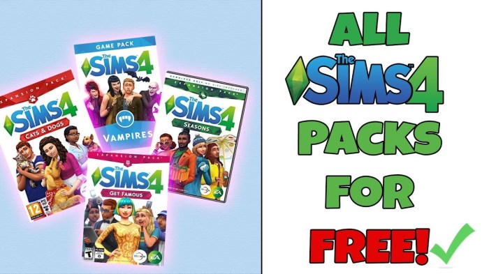 Sims 3 expansion codes