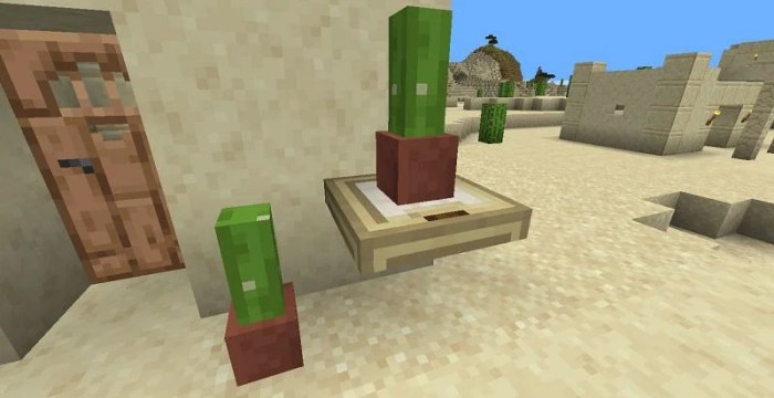 Minecraft cactus uses mob protection wall