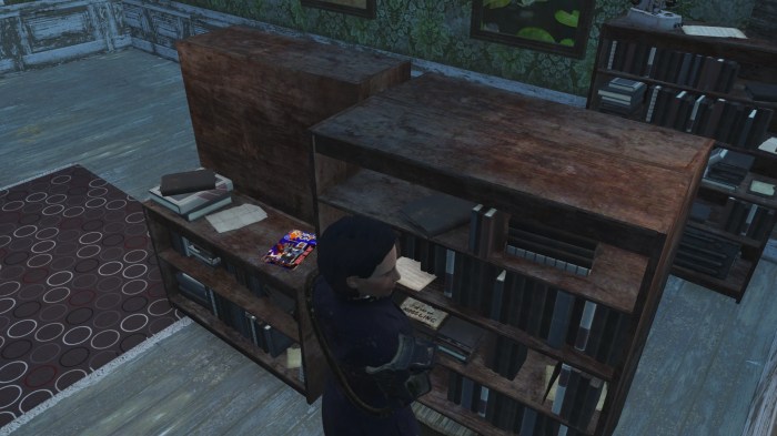 Fallout 4 overdue books