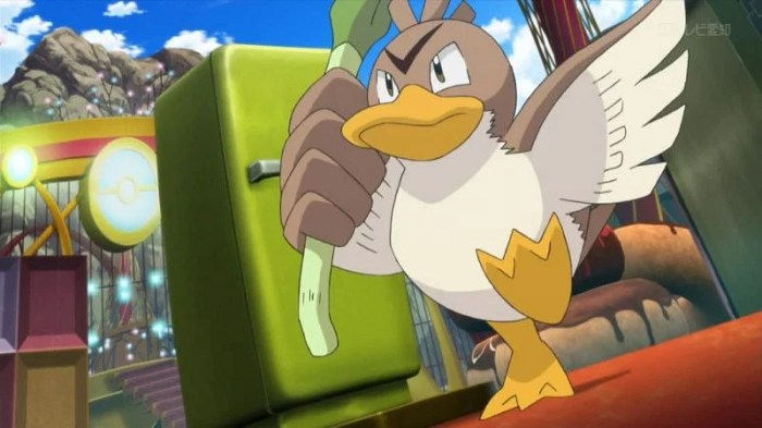 Can farfetch'd learn fly