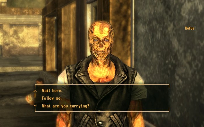 Ghoul fallout new vegas