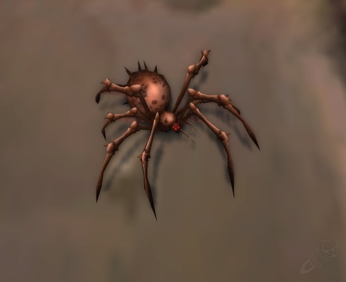 World of warcraft spider