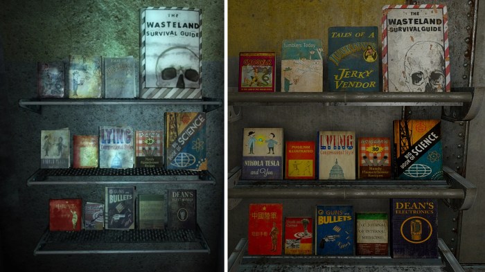 Fallout 3 skill books