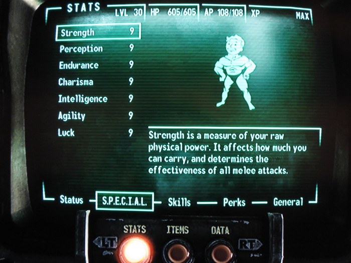 Best stats fallout 3