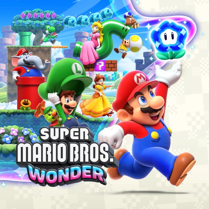 Super mario wonder used