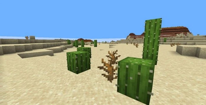 Minecraft uses of cactus