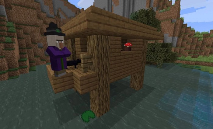 Minecraft witch hut seed