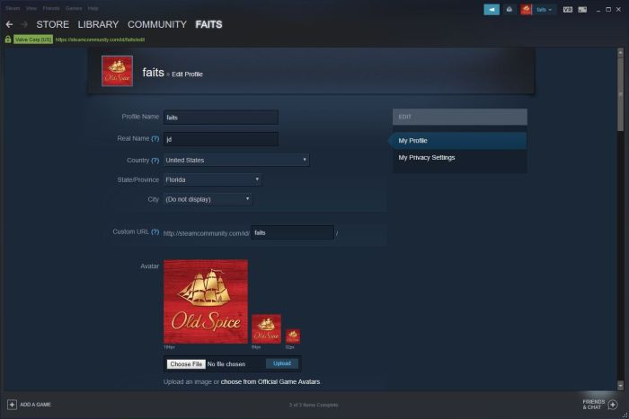 Steam find party