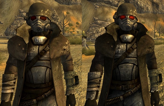 Fallout new vegas armor